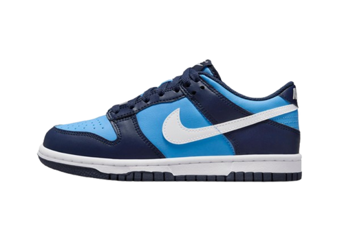 Nike Nike Dunk Low GS HF0031-400