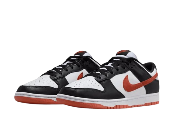 Nike Nike Dunk Low Retro DV0833-108